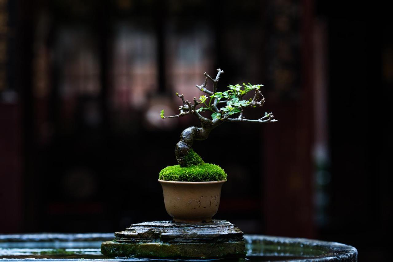 Hotel Xiamen Lanqin Gucuo Mansion Exterior foto